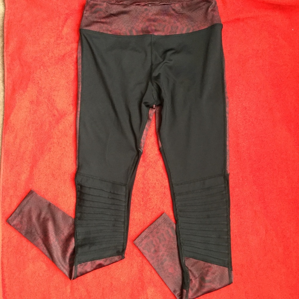 HP! Sam Edelman Moto Knee Leggings